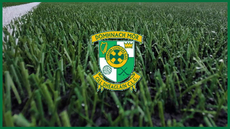 New artificial grass pitch coming to Donaghmore Ashbourne GAA